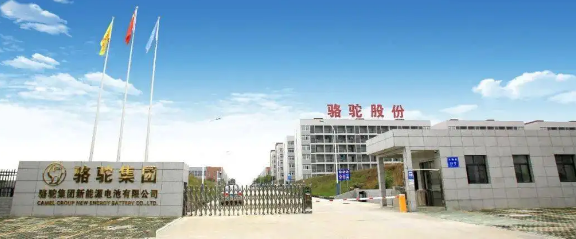 骆驼股份有限公司